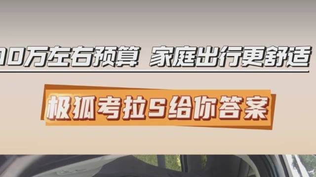 家庭出行更舒适 极狐考拉S给你答案