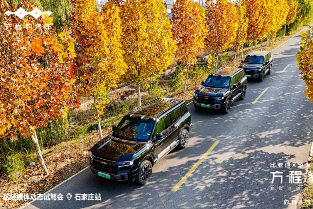 《智勇雙全—方程豹豹8，全場(chǎng)景暢行，嶄新境界》