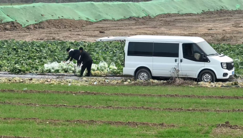 空间大动力强中国轻客第一品牌成就河北果农的采摘生态园做大做强