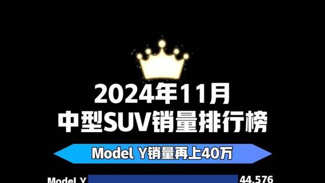 2024年11月中型SUV销量排行榜