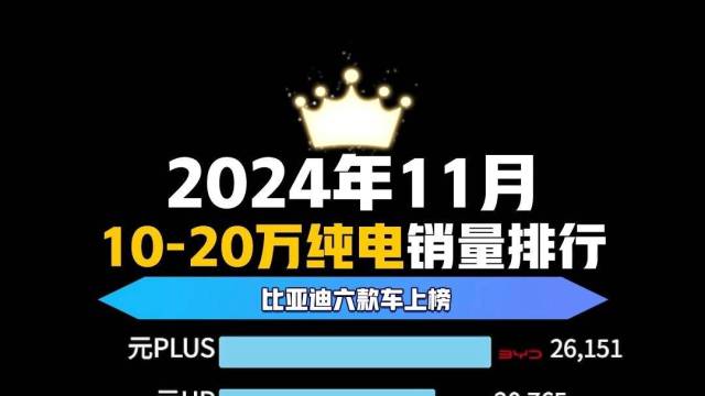 2024年11月10-20万纯电汽车销量