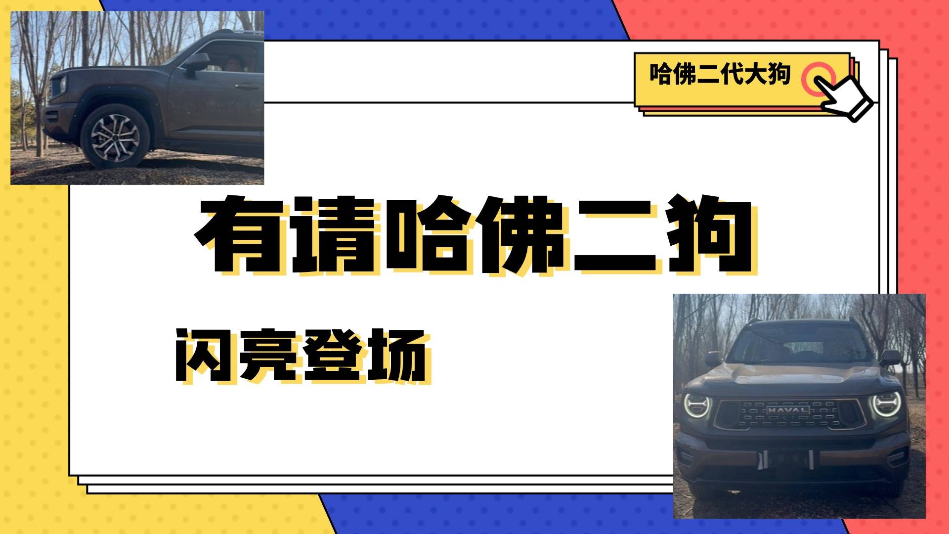 你还是我忠实的伙伴吗？步履狂飙话二代大狗