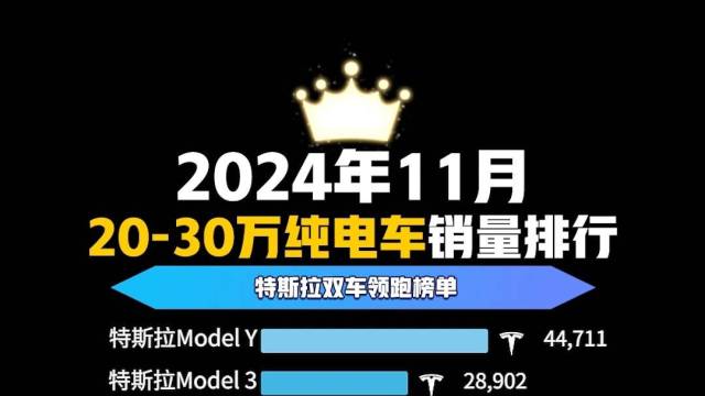 2024年11月20-30万纯电车销量