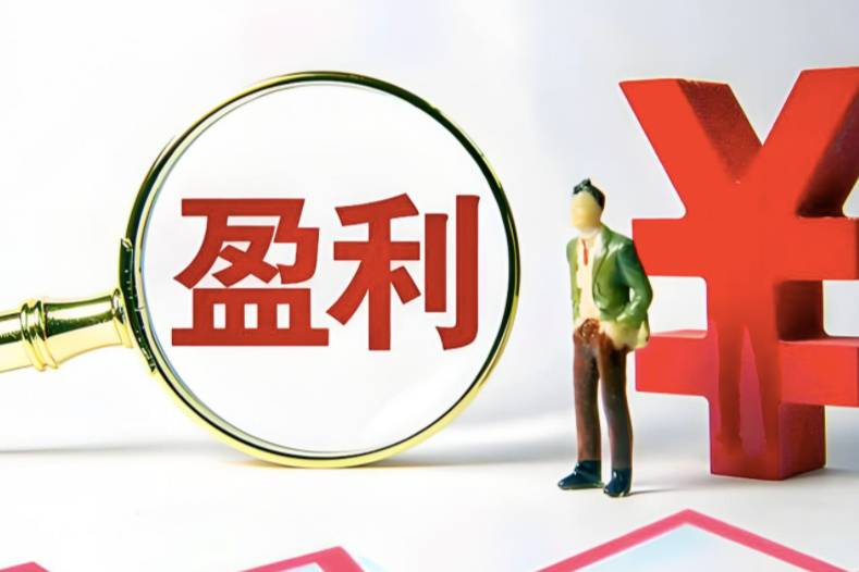 2025誰是下一家盈利的新勢(shì)力？