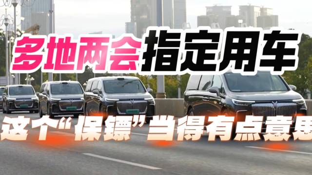 全国多地两会指定用车，这个保镖有点意思！