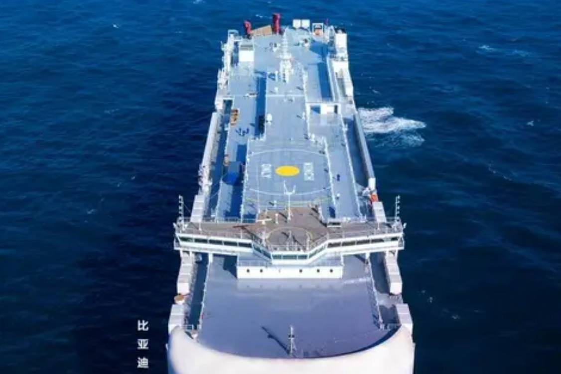 日本2024年EV銷量：比亞迪超越豐田