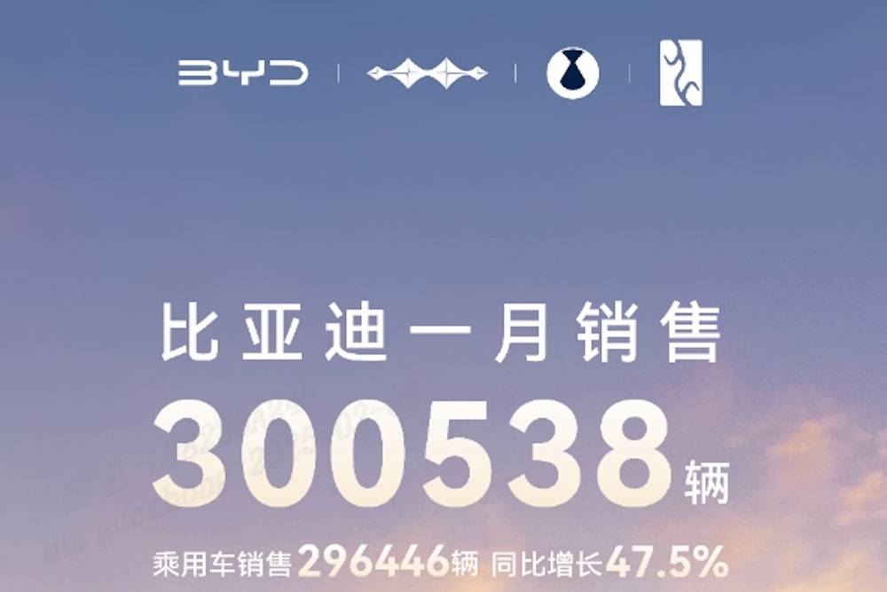 月销30万台！比亚迪2025年第一个销冠