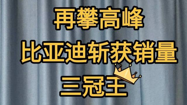 比亚迪产品和技术造就了中国销冠