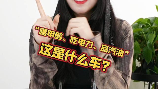 “喝甲醇、吃电力、品汽油”这是什么车?