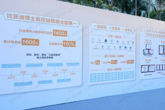 2024 年全球銷量三冠王,彰顯新能源汽車領(lǐng)軍實(shí)力