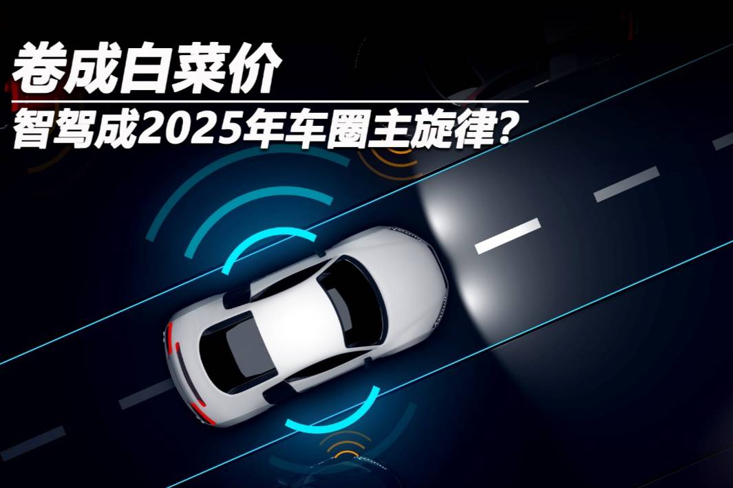 卷成白菜价，智驾成2025年车圈主旋律？