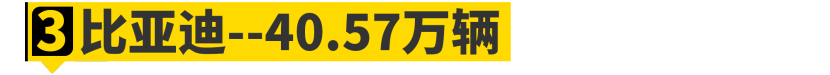 2024年，哪家车企最能“赚外国人的钱”？