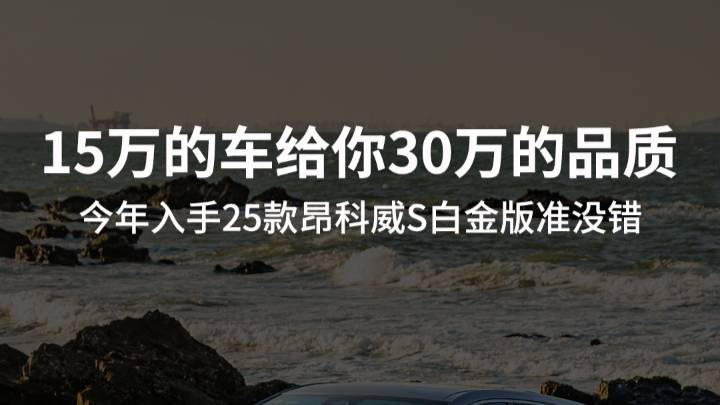 今年入手25款昂科威S白金版准没错