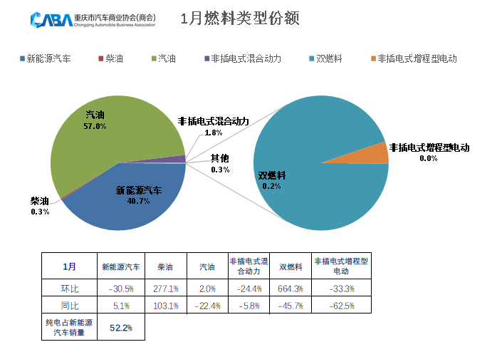 同、环比双降，重庆1月销量超4.29万辆，新能源渗透率回落