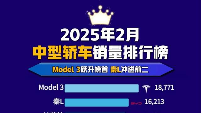 2025年2月中型轿车销量排行榜