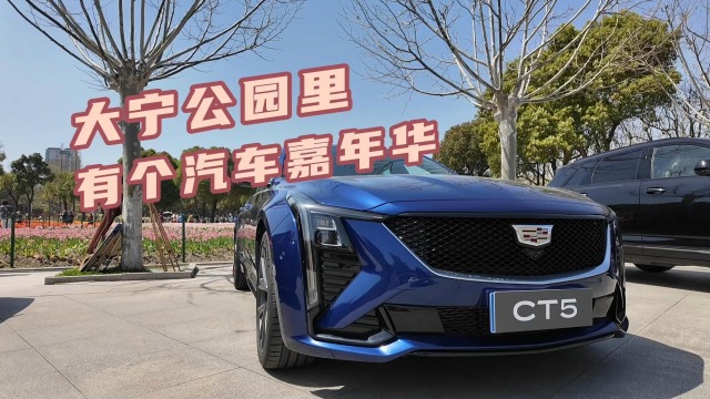 大宁公园里有个汽车嘉年华