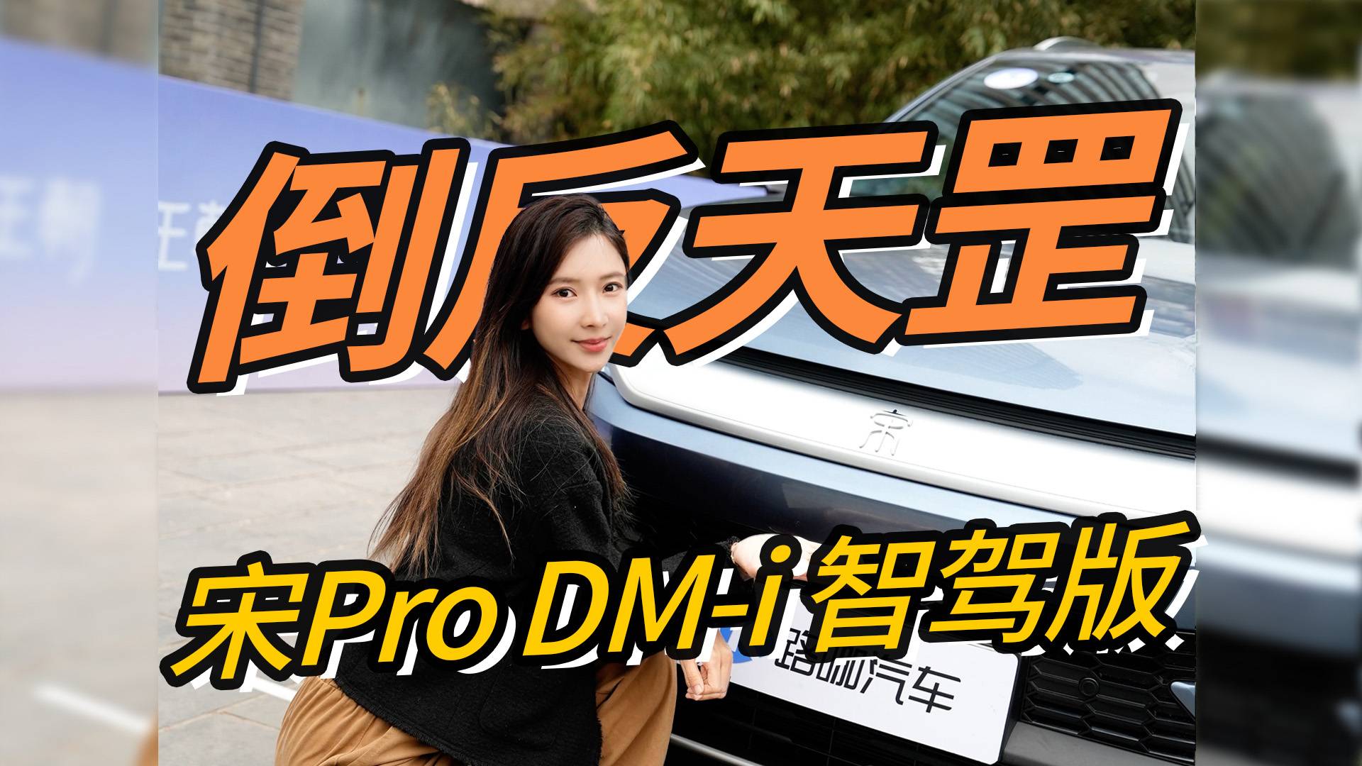 比亚迪宋Pro DM-i智驾版“倒反天罡”