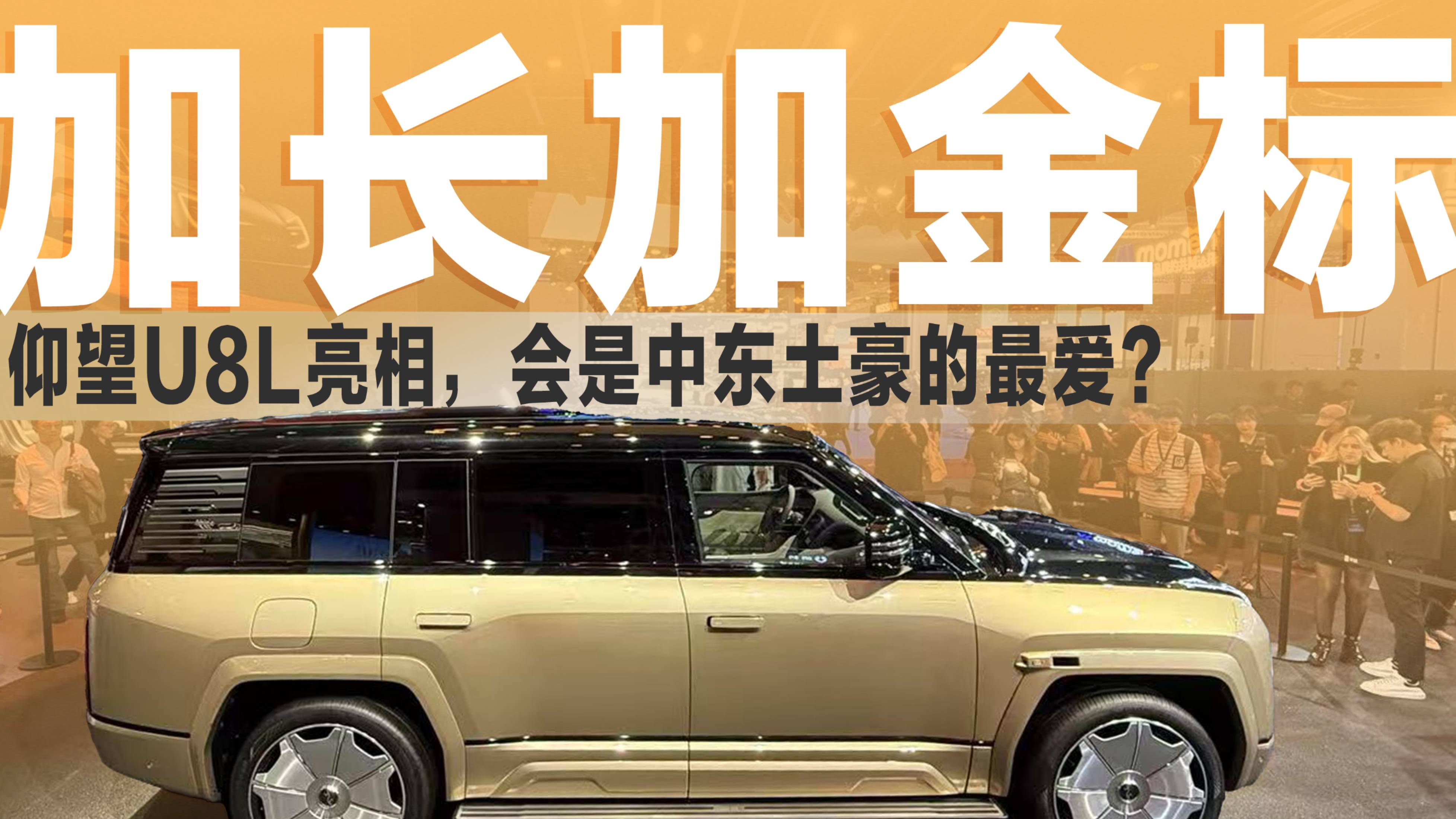 太尊了！加长配金标的仰望U8L，能不能吸引“库里南车主”呢