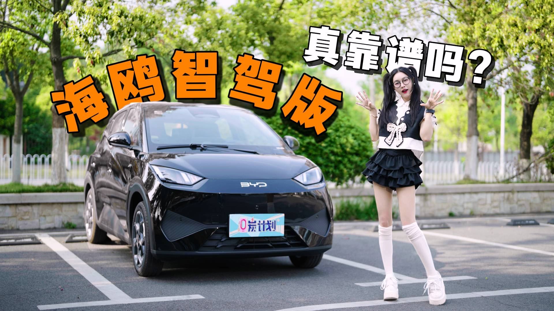 海鸥智驾版真靠谱吗？
