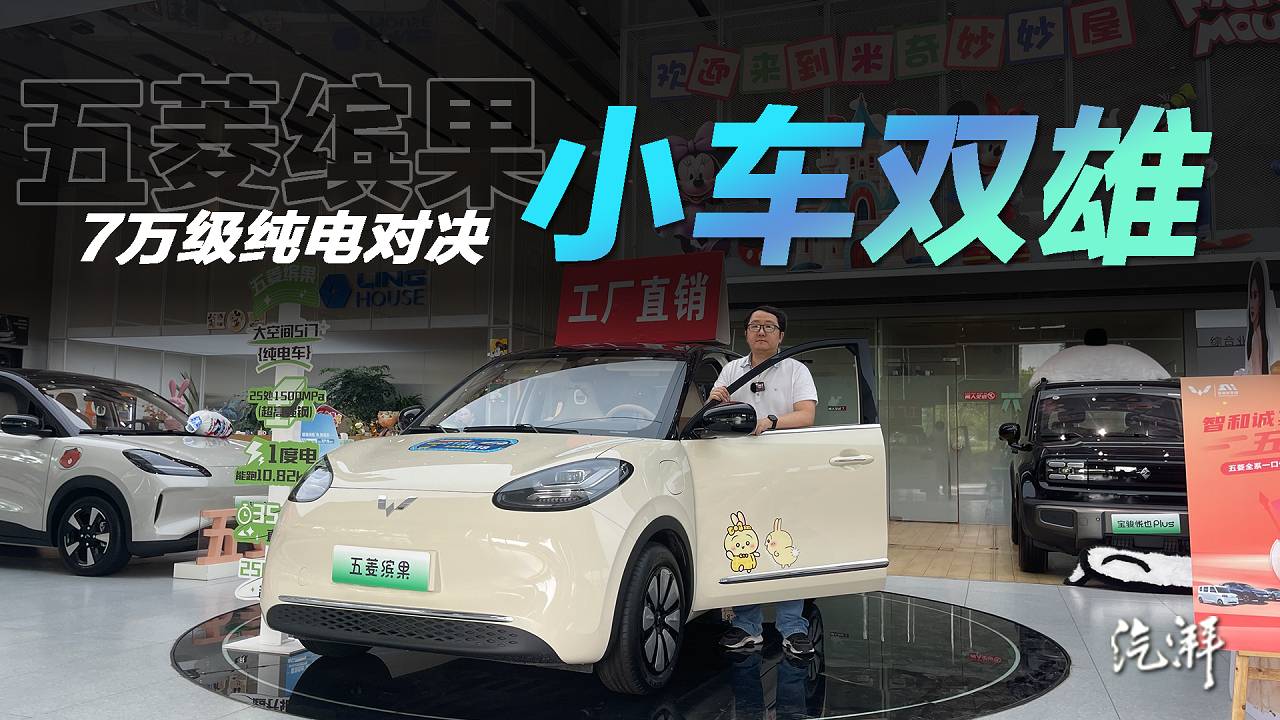 比亞迪海鷗跟五菱繽果誰更香？