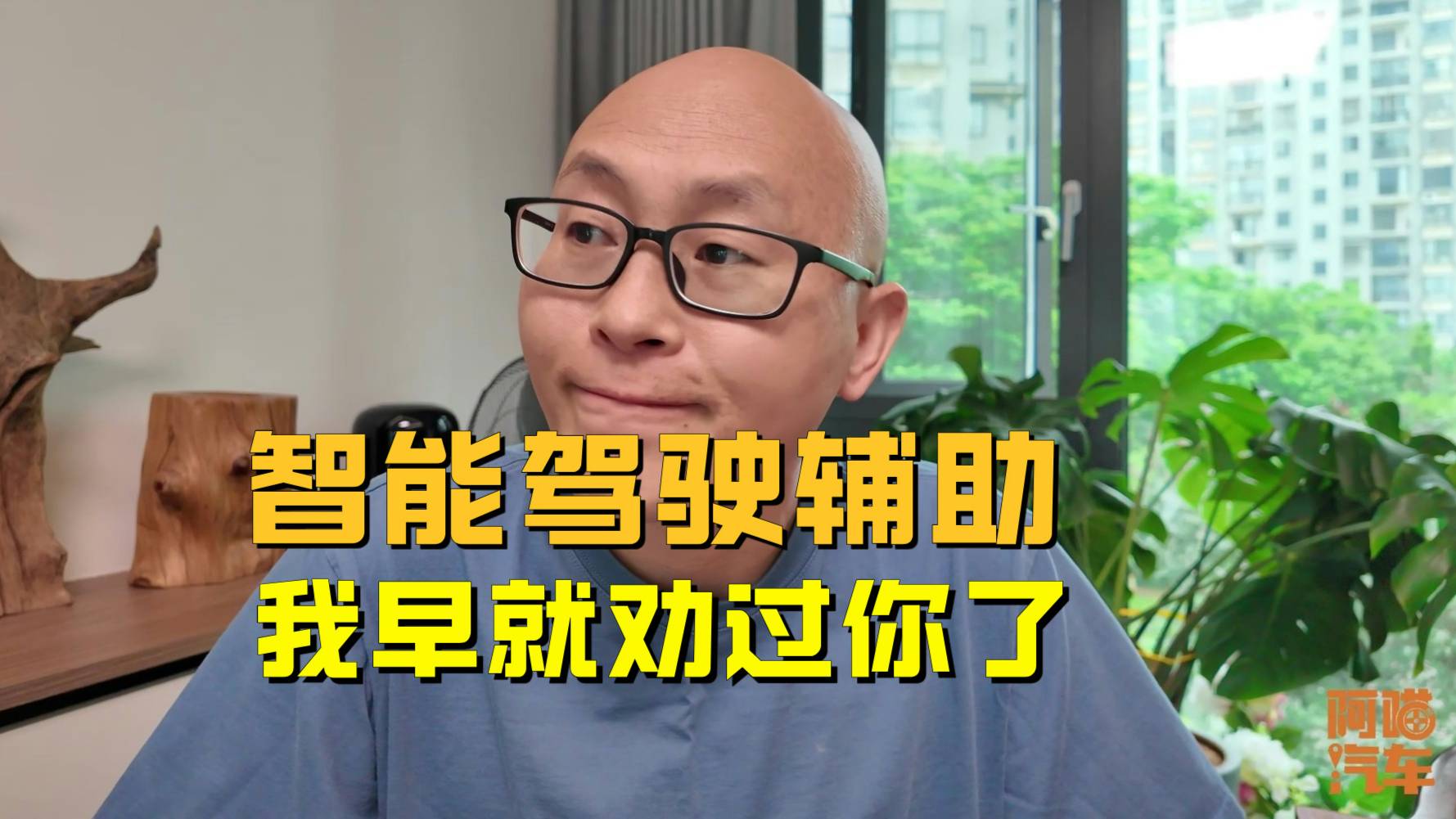 智能驾驶辅助终于正名了！我早就劝过你了，是辅助！不是自动