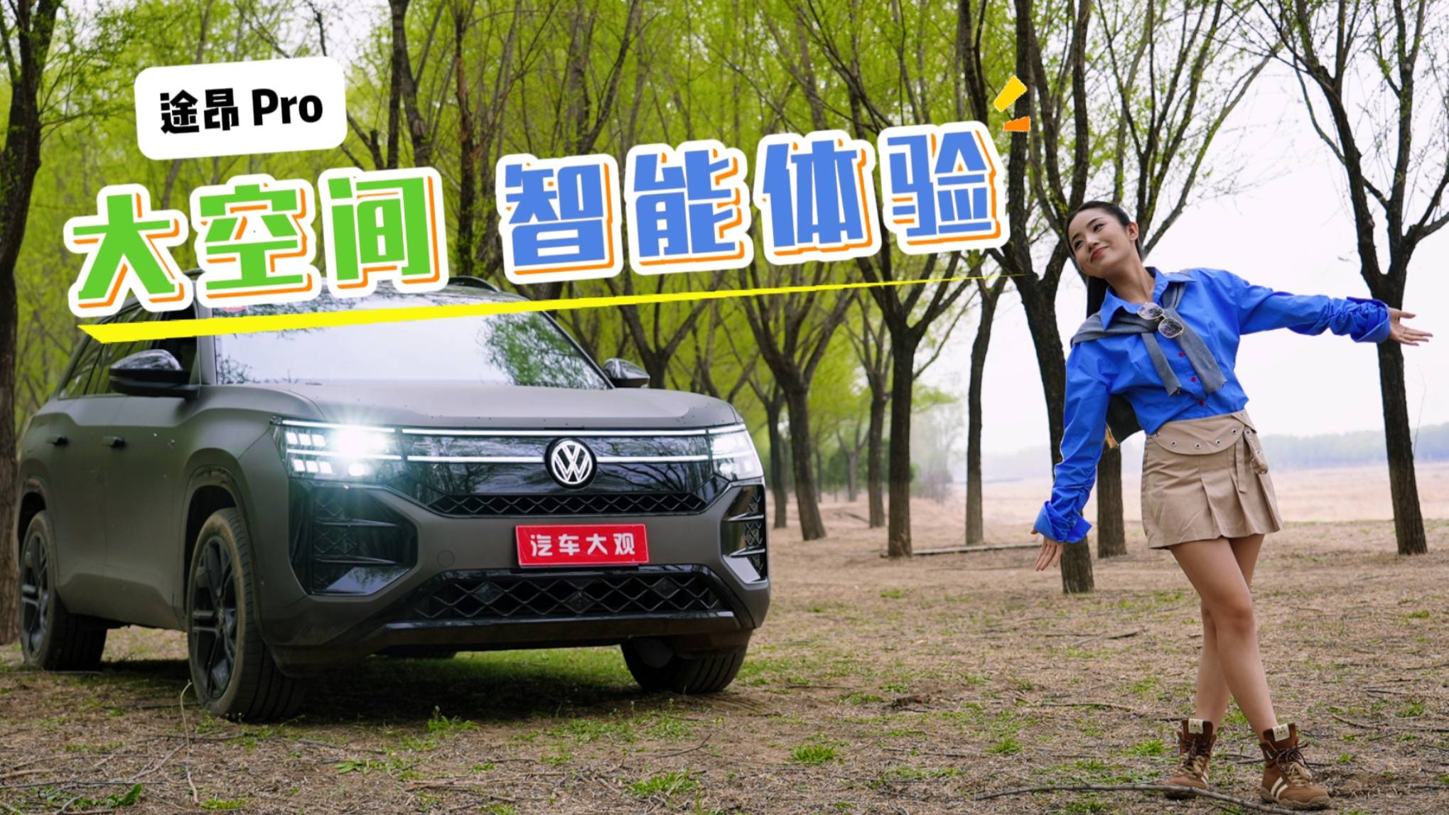途昂 Pro 大空间与智能体验给几分？