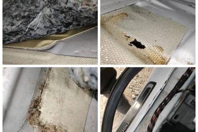 汽車沒有涉水駕駛經(jīng)歷卻出現(xiàn)地板發(fā)霉，水是從哪流進來的呢？