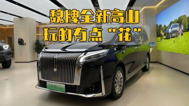 魏牌全新高山玩的有点“花”