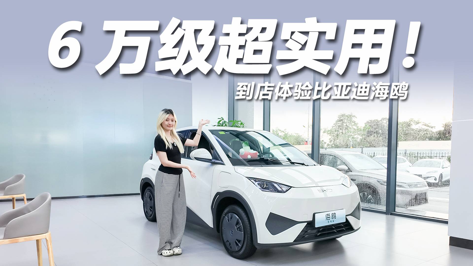 预算6万出头，也能有精品体验？探店比亚迪海鸥