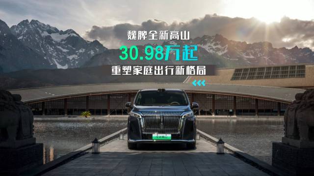 30.98万起 魏牌全新高山重塑家庭出行