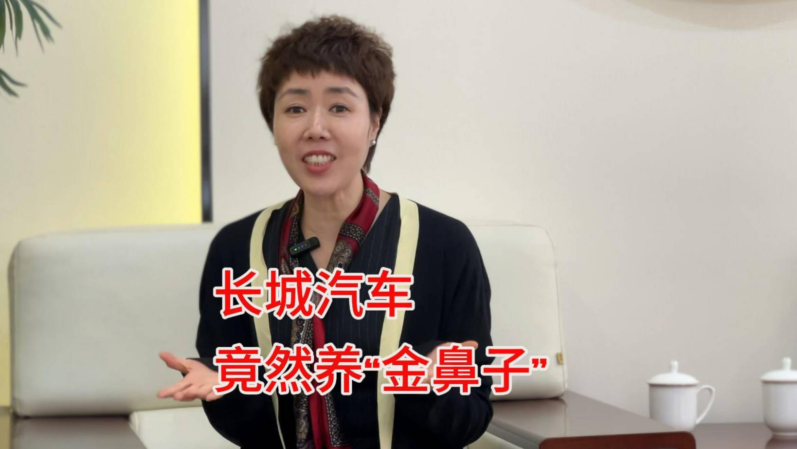 長(zhǎng)城汽車養(yǎng)了一群“金鼻子”