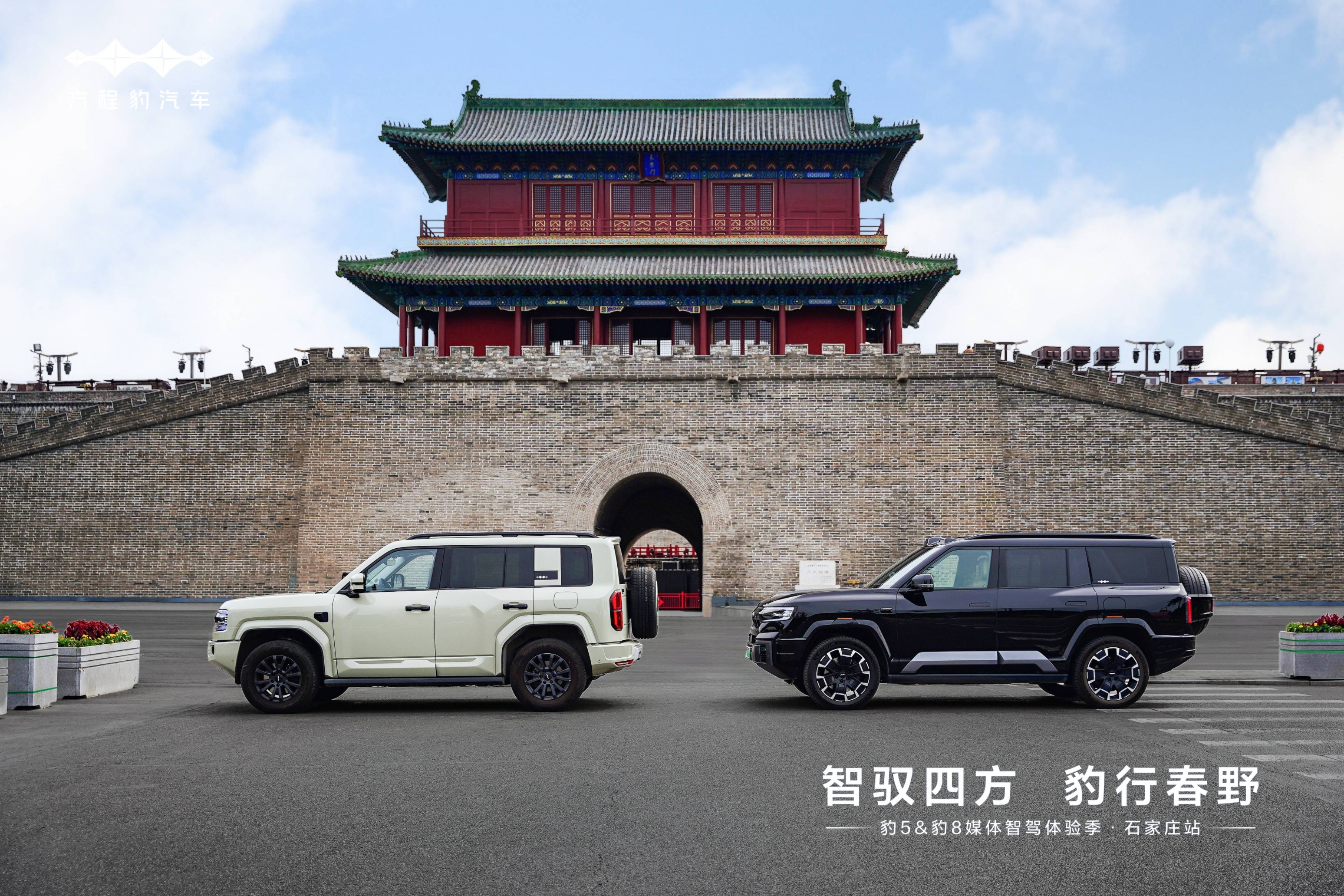 硬核CP強勢出圈豹5三把鎖+豹8魔毯底盤 雙車定義全場景出行