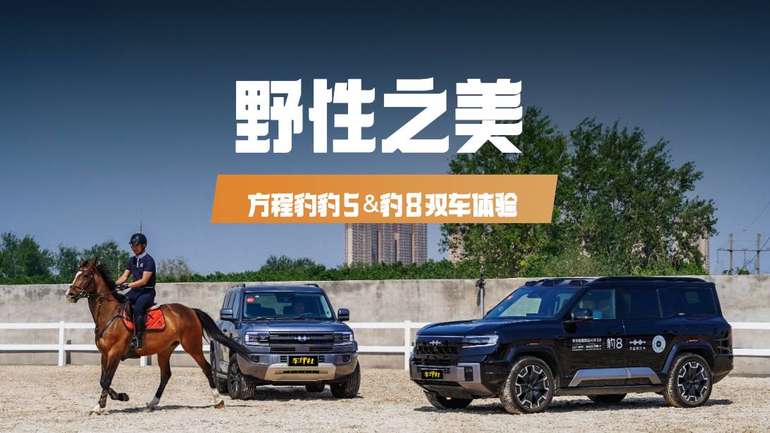 野性美學，方程豹豹5&豹8雙車體驗