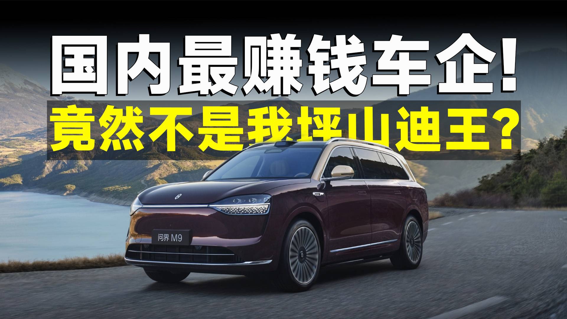 盘点24年国内车企财报,到底谁赚的最多?