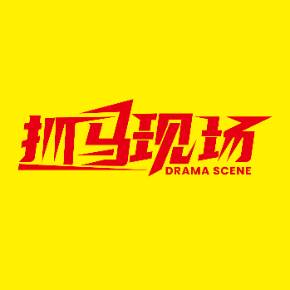你開邁騰？怪不得被專車司機罵！