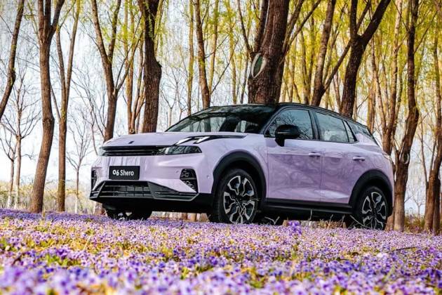 車迷熱切期待！領(lǐng)克06紫色特別版萬人血書求返場