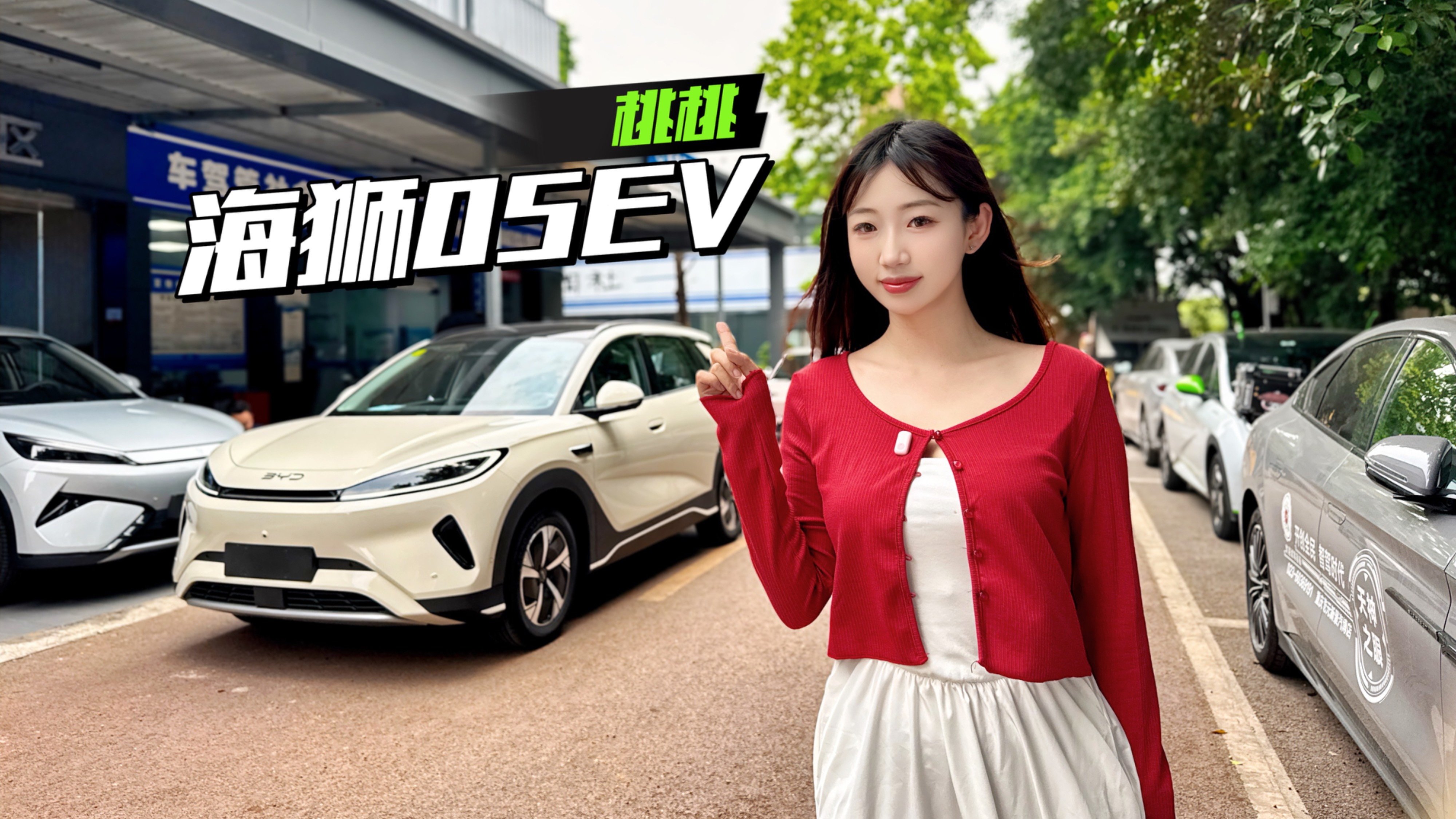 帮粉丝提车海狮05EV