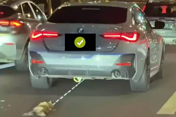 海口警方通報寶馬汽車拖行小貓事件后續：三人造謠生事被依法行拘