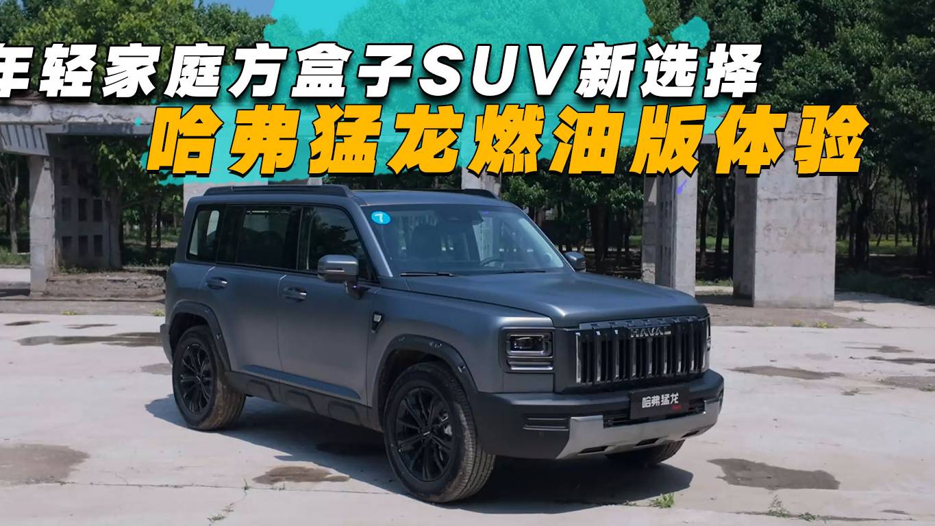 年輕家庭方盒子SUV新選擇，哈弗猛龍燃油版靜態體驗