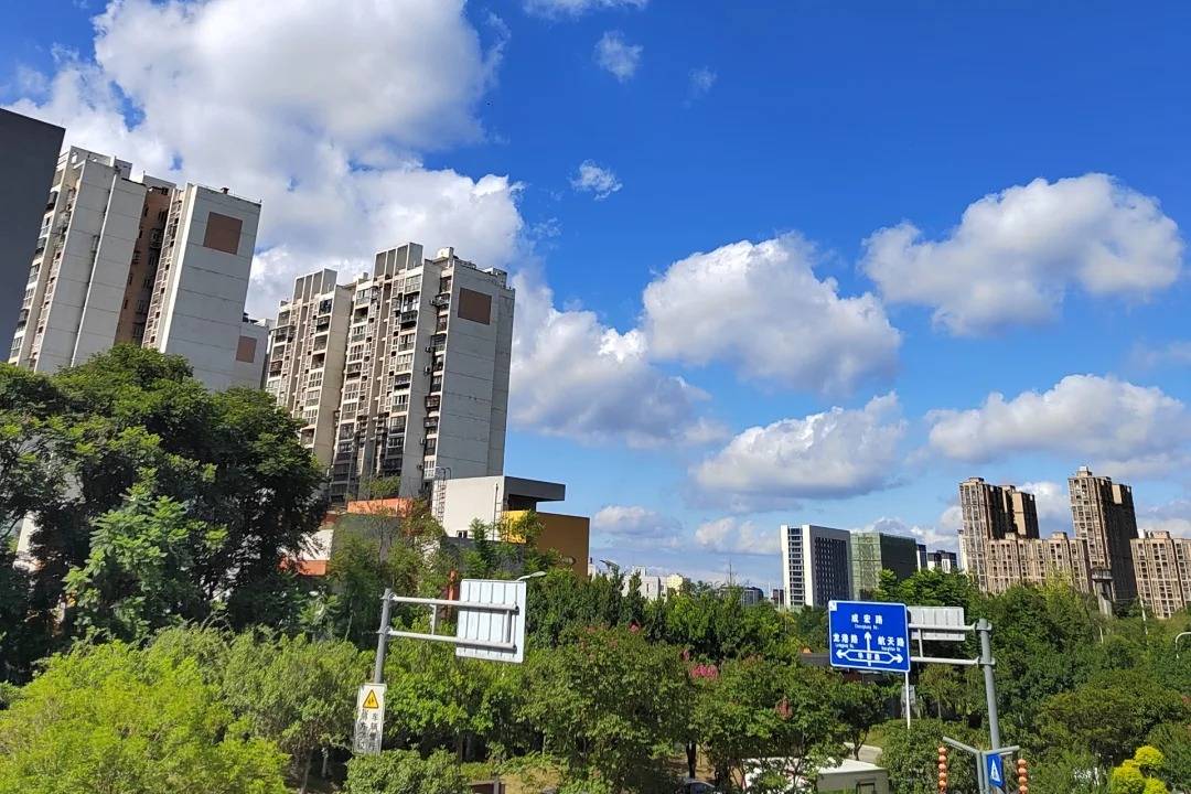 大發(fā)，藏在日常里的安心感