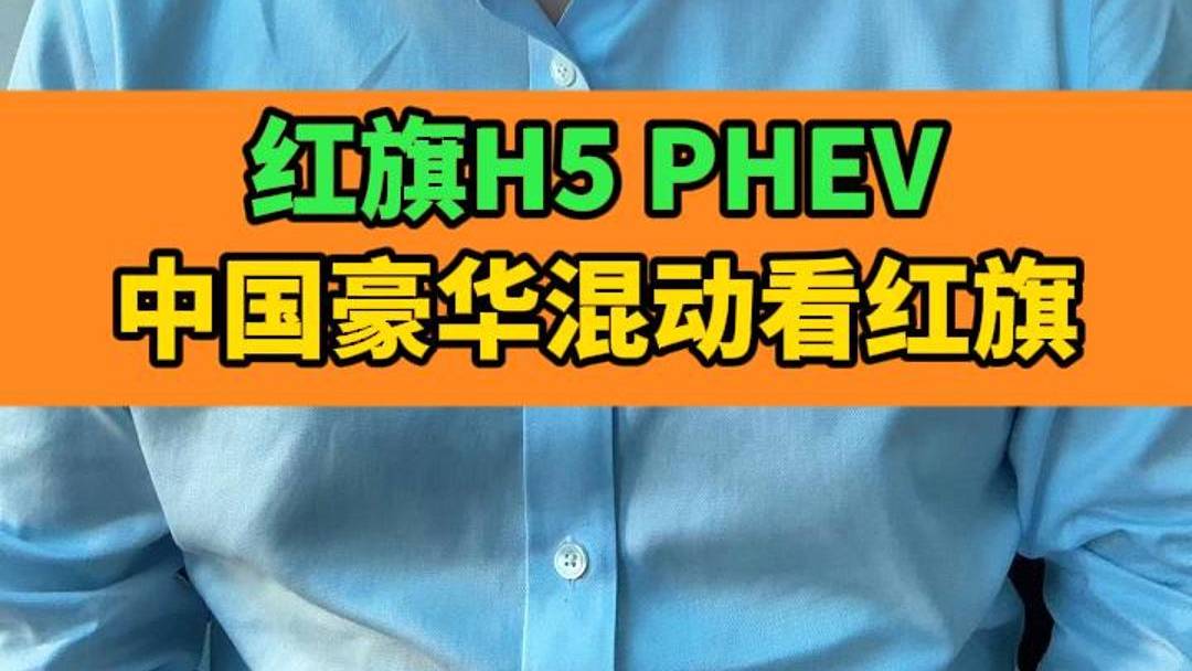 紅旗H5 PHEV 能否顛覆B級車市場？