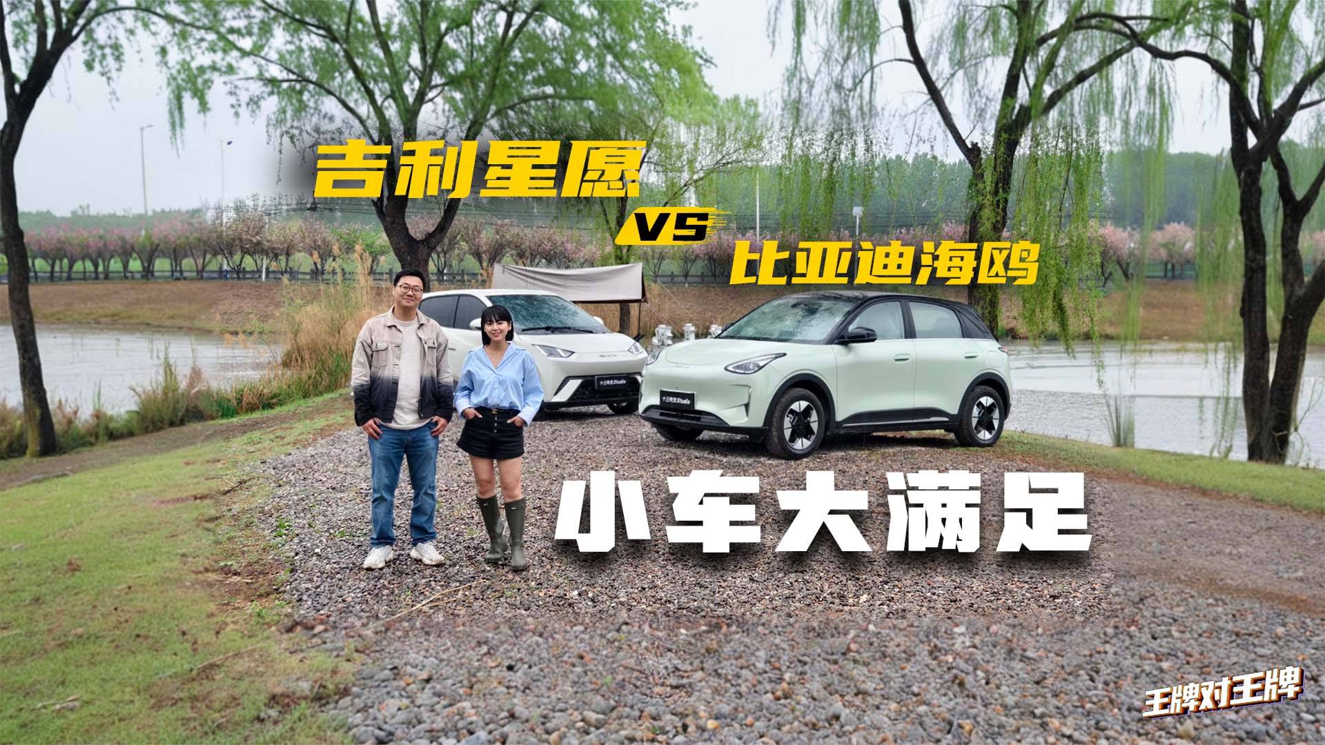 终极代步小车之争，星愿和海鸥该选谁？