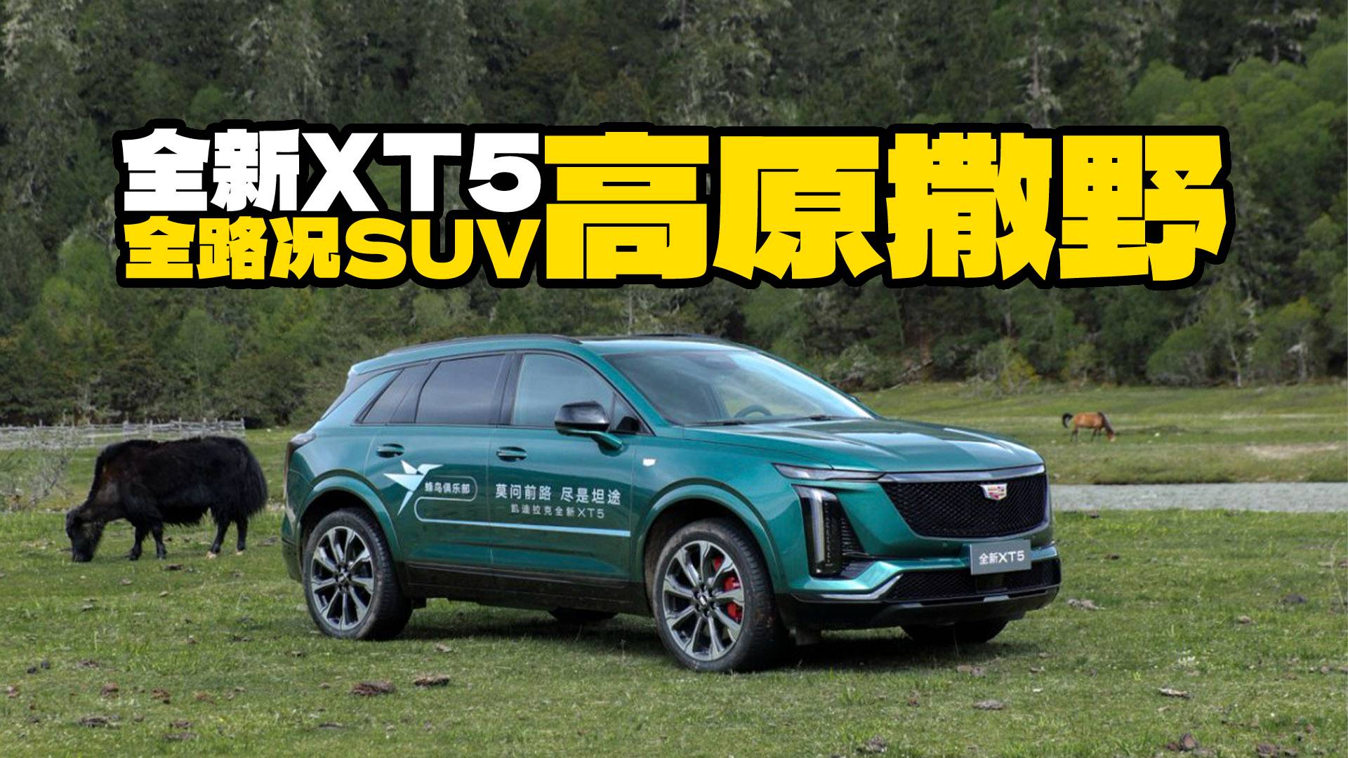 谁说城市SUV不能野？开着凯迪拉克XT5进藏区慌不慌？