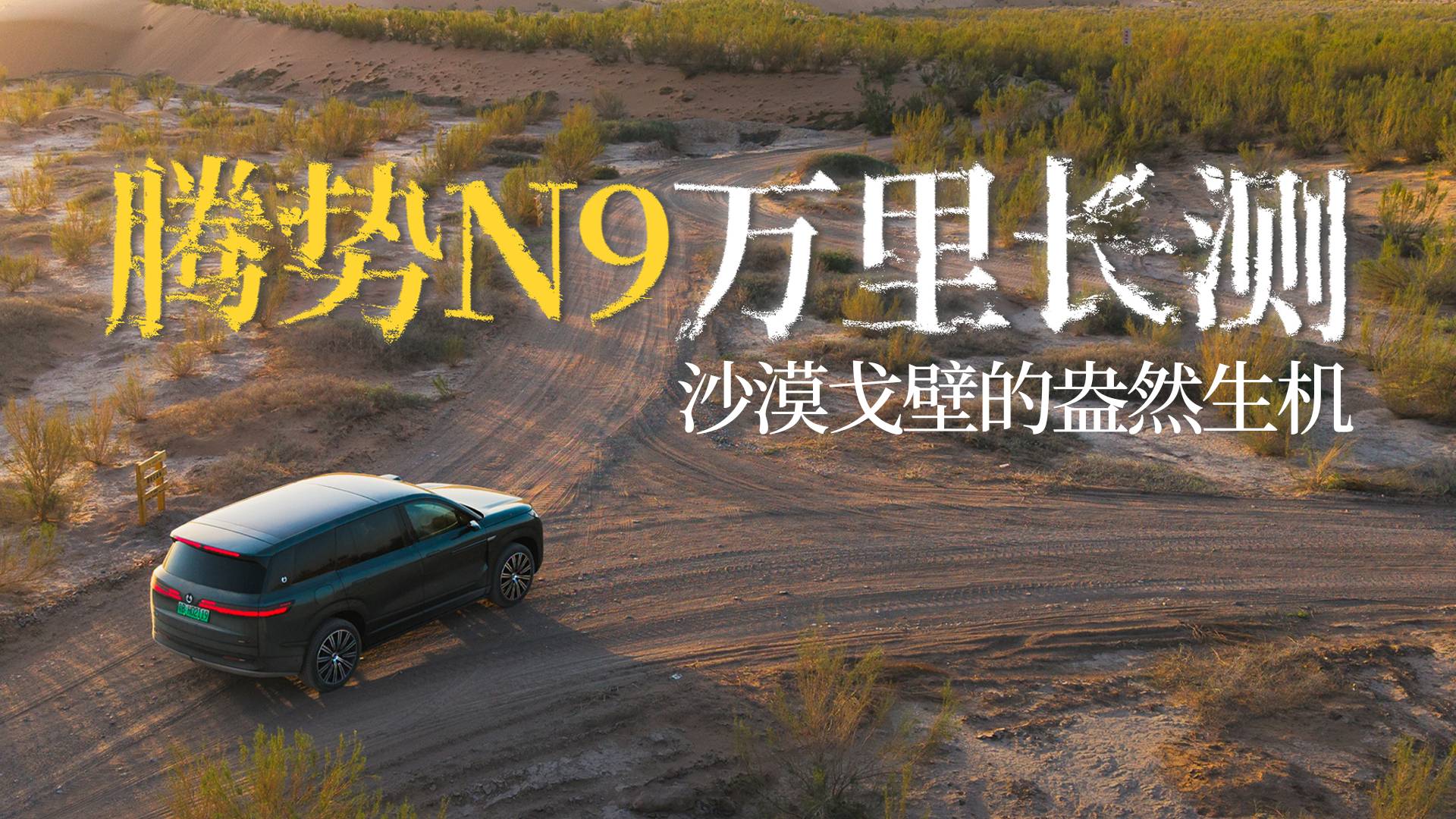 “梭梭林”原來如此壯觀｜騰勢N9自駕“不一樣”的河西走廊