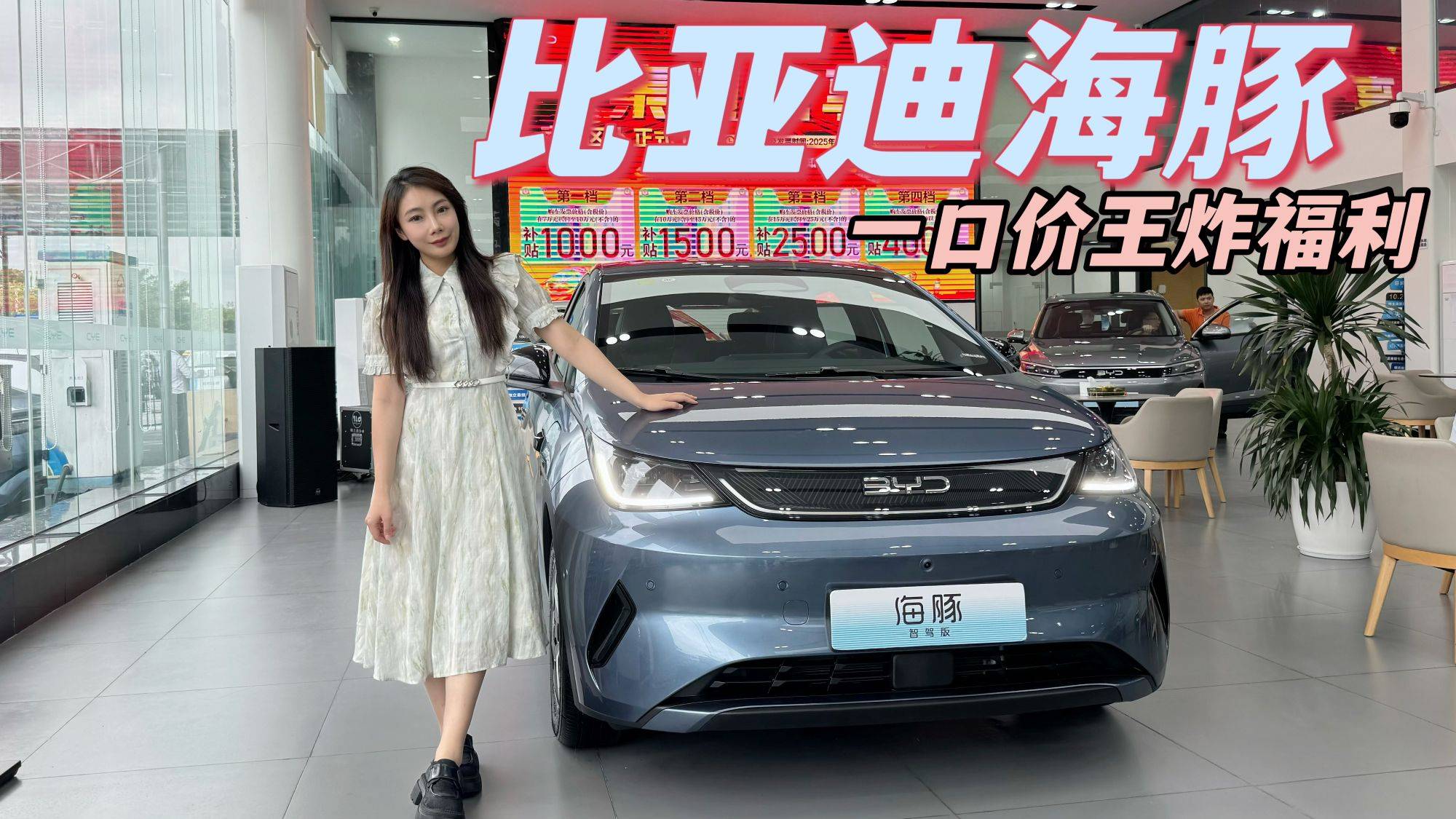 海豚王炸福利？這價格驚到不敢相信