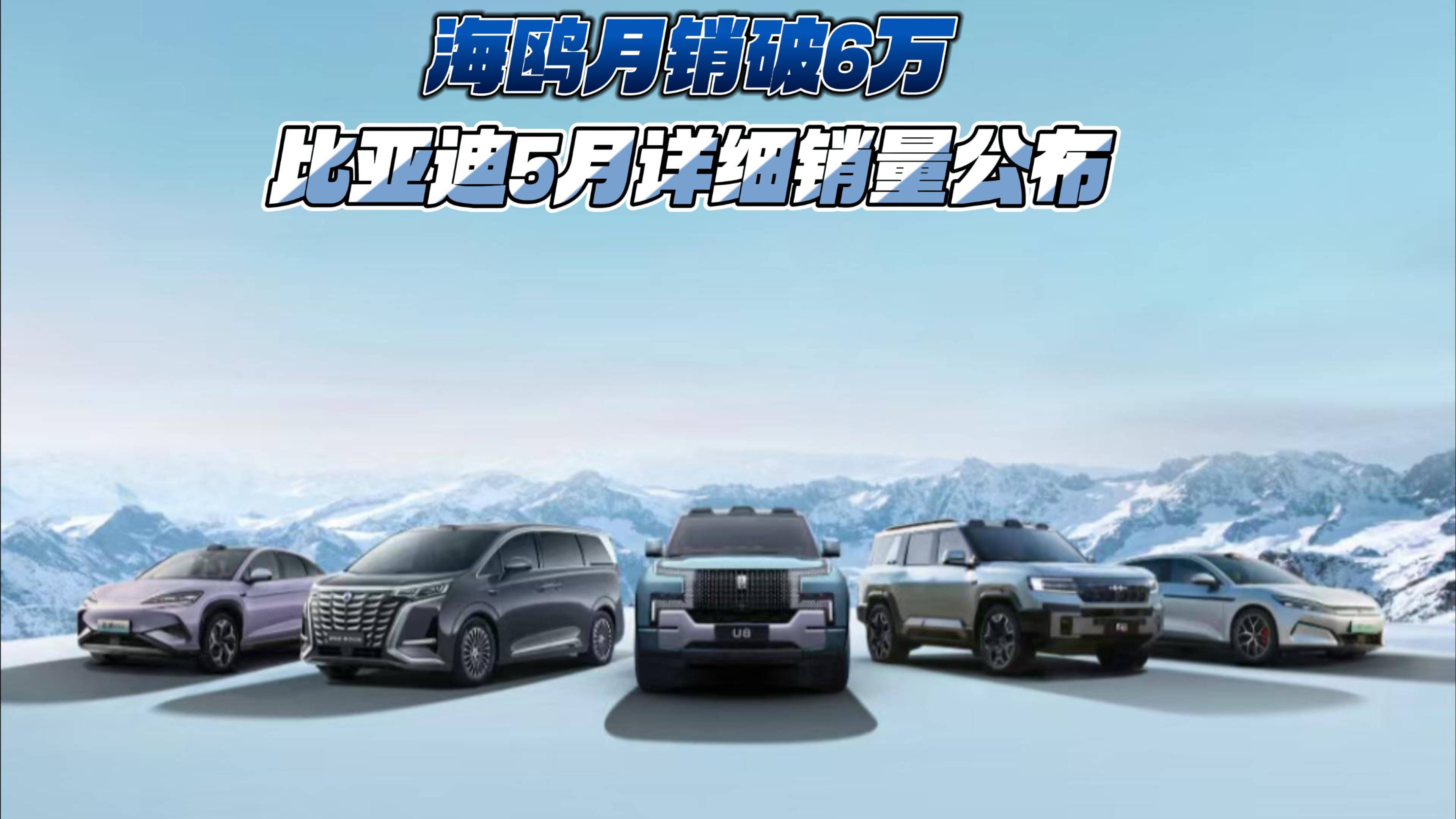 海鷗月銷破6萬 比亞迪5月詳細銷量公布