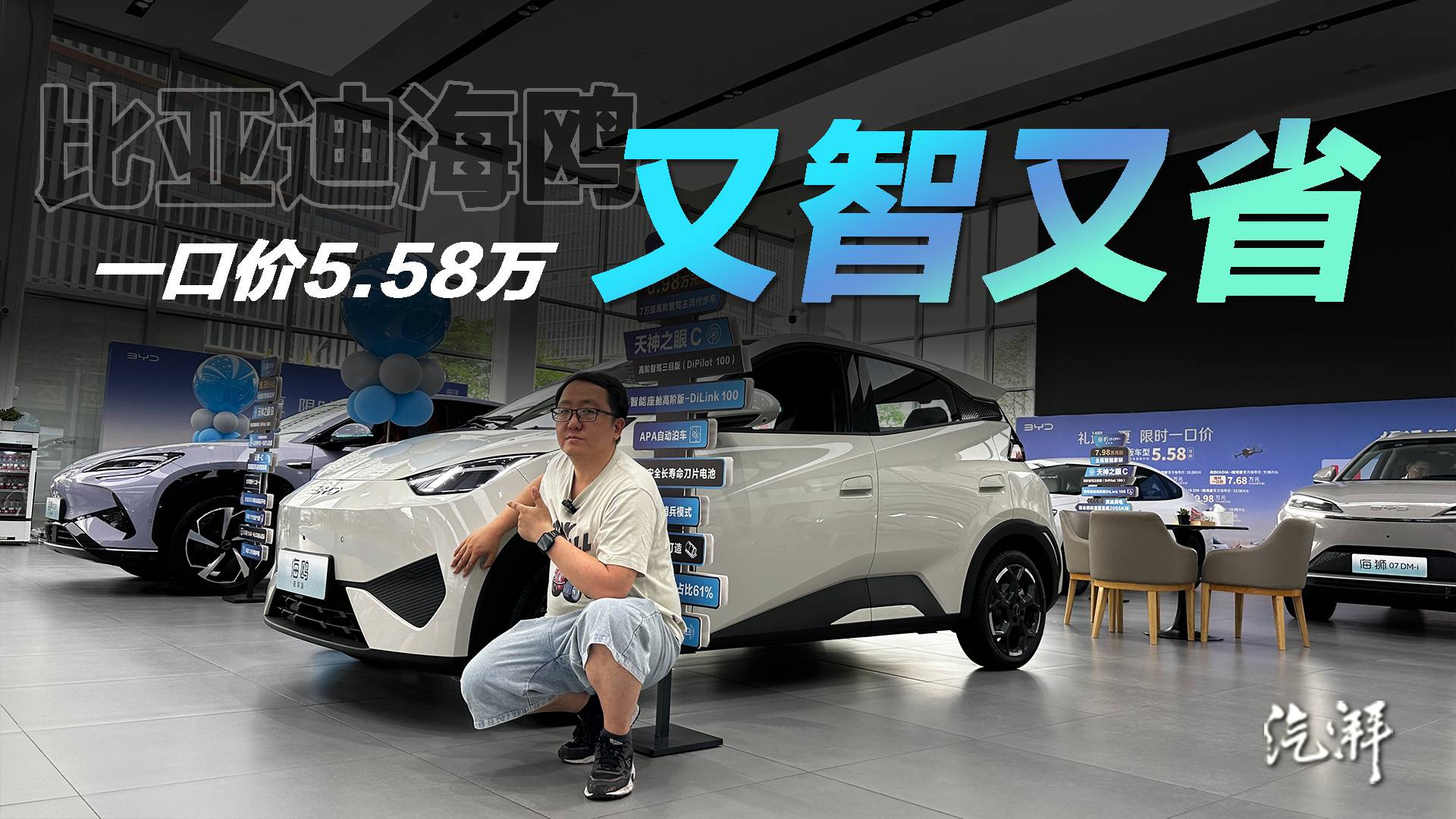 海鸥智驾版跌到5万级，比亚迪再卷新能源小车