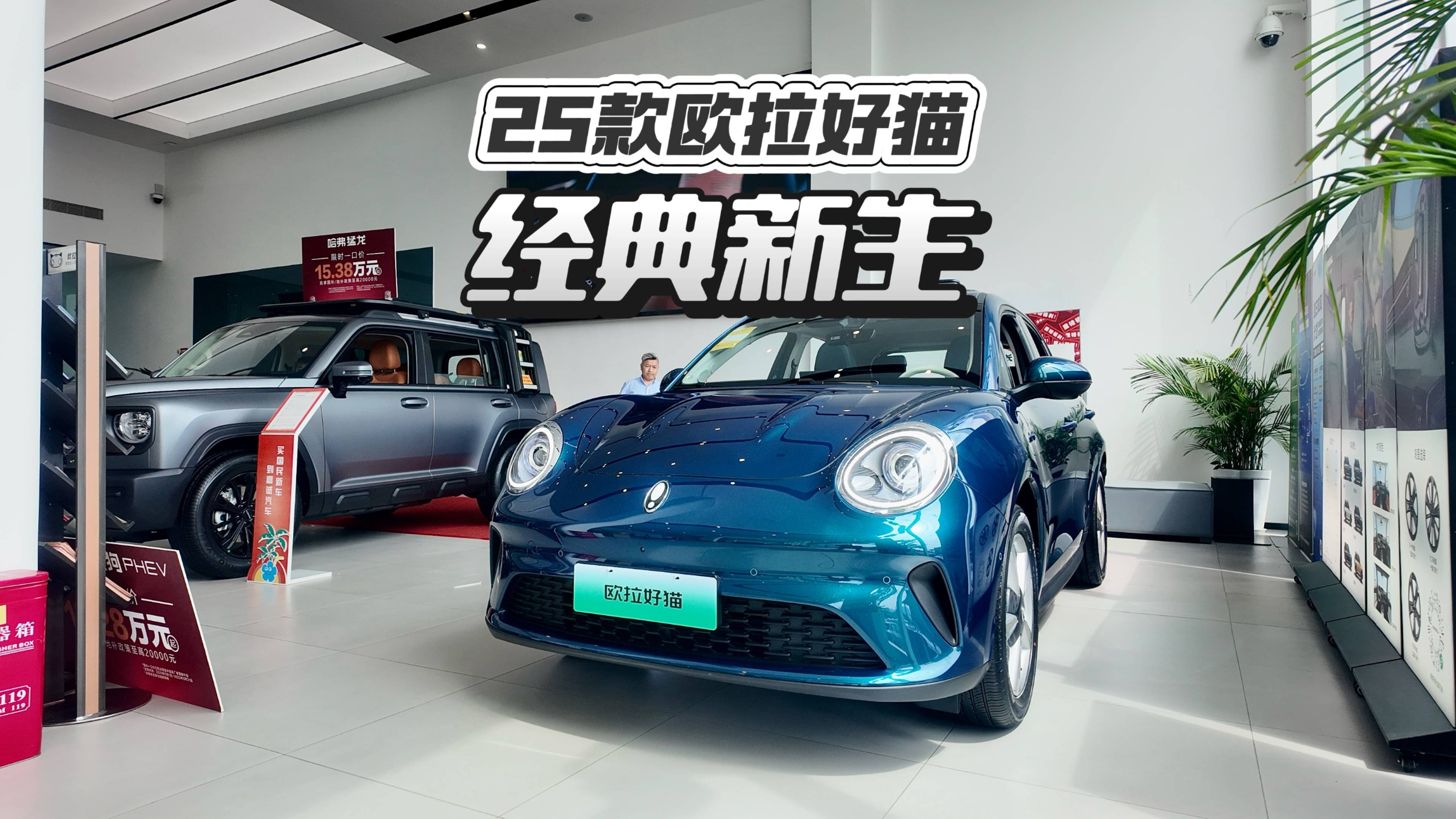 經典新生，25款歐拉好貓要來啦！