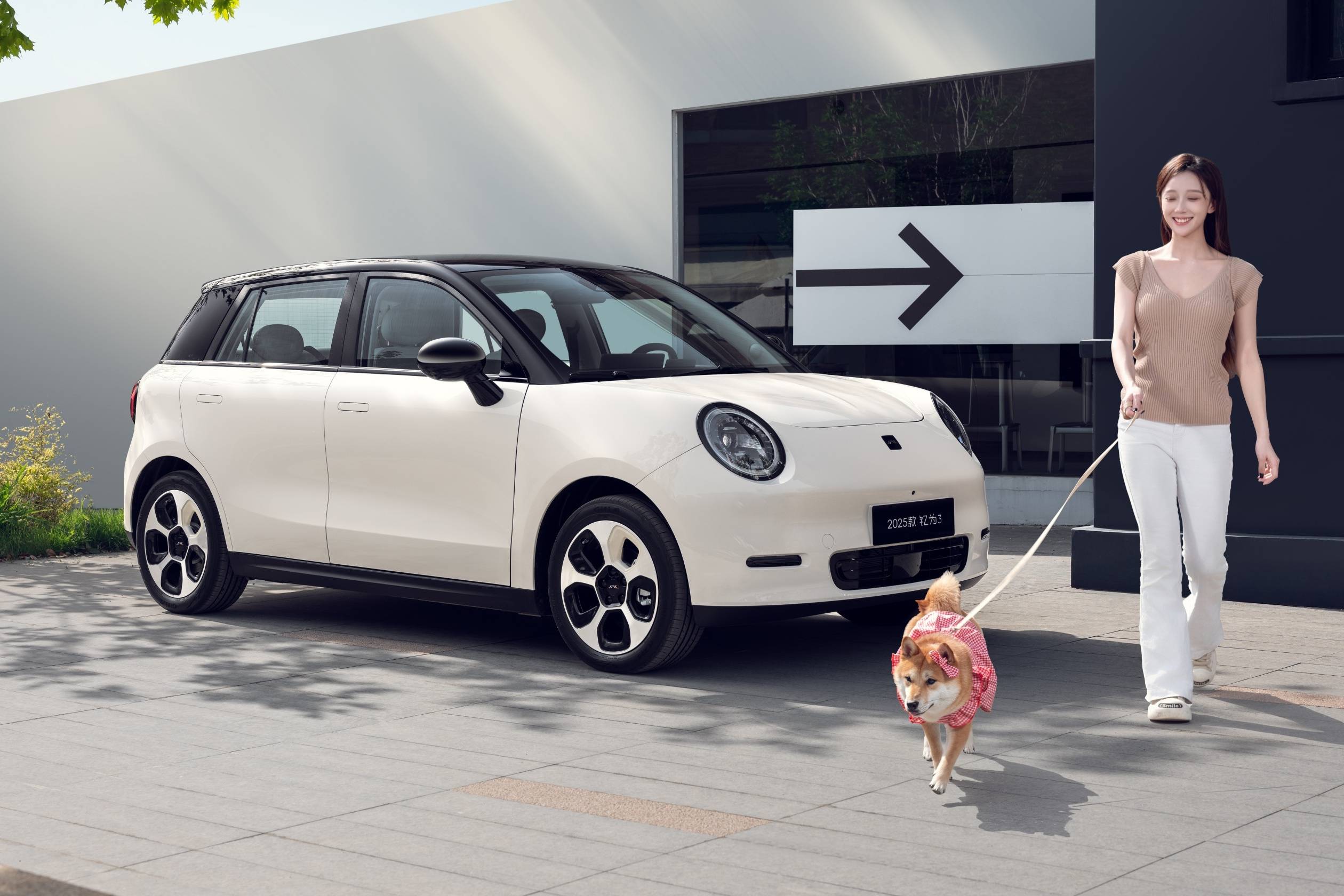 電動MINI COOPER VS 2025款釔為3，青睞誰？