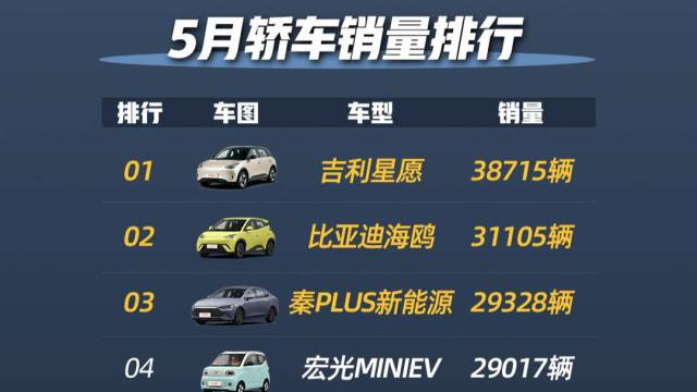 5月轿车销量比亚迪秦PLUS新能源进前三